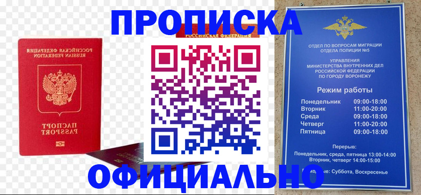 временная регистрация недорого в Фрязино